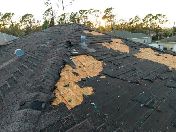 Roof Insulation Installation in Greeley, CO